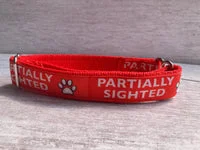 Partially Sighted Blind Alert Dog Collar 5