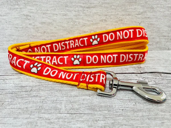 Do Not Distract Dog Ribbon Lead