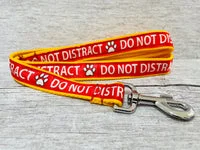 Do Not Distract Dog Ribbon Lead 1