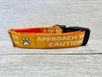 Approach with Caution Alert Dog Collar 3