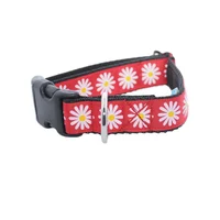 Red Daisy Dog Collar 5