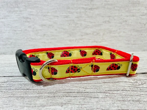 Ladybird Ladybug Insect Dog Collar