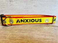 Anxious Alert Dog Collar 1