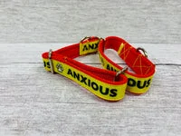 Anxious Alert Dog Collar 7