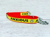 Anxious Alert Dog Collar 2