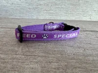 Special Diet - Do Not Feed Ribbon Puppy/Small Dog Collar 14