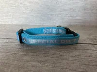 Special Diet - Do Not Feed Ribbon Puppy/Small Dog Collar 12