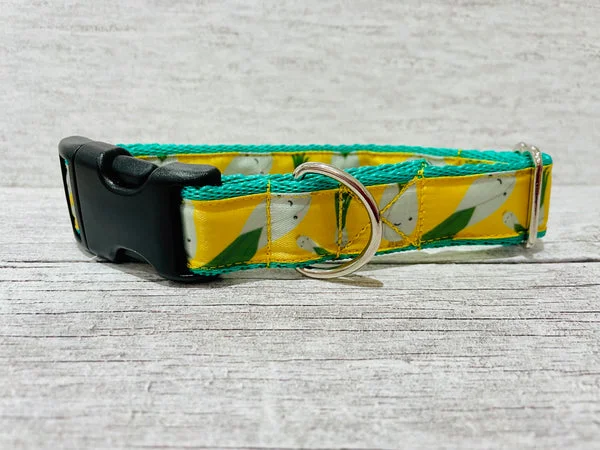 Leek Vegetable Dog Collar