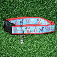 Labrador Christmas Themed Dog Collar 4