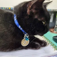 Wizard Houses Inspired Cat Collar - Handmade in the UK 10