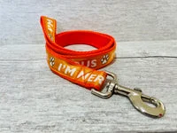 Solid Colour Nervous Alert Dog Lead 3