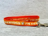 Solid Colour Nervous Alert Dog Lead 2