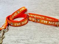 Solid Colour Nervous Alert Dog Lead 4