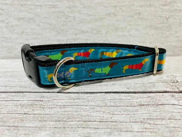 Teal Dachshund Daxie Jumper Dog Collar