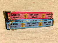 Goldies Rules Dog Collar Golden Retriever Rules 3