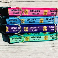 Goldies Rules Dog Collar Golden Retriever Rules 1