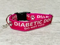 Hot Pink Diabetic - Medical Alert Dog Collar 1