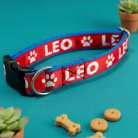 Personalised Dog Collar with Custom Name and Text 1