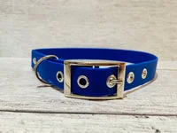 Royal Blue Biothane Waterproof Dog Collar 2