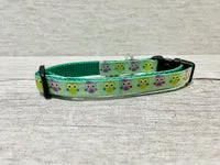 Green Owl Dog Collar 2