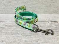 Green Owl Dog Collar 4