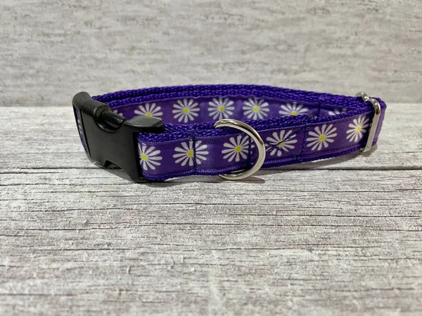 Purple Single Daisy Print Dog Collar
