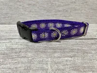 Purple Single Daisy Print Dog Collar 1