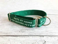 Personalised Dog Collar - Your Design, Any Text 2