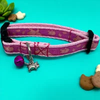 Pig Puppy Collar 1