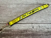 In Training Alert Short Extension Dog Lead | UK 1
