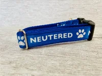 Neutered Dog Collar 2