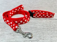 Red with White Spots Dots Ribbon Lead 3