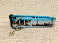 Paris Skyline Dog Collar 1
