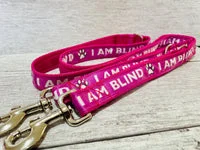 I Am Blind Dog Alert Collar 11