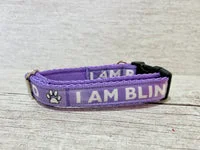 I Am Blind Dog Alert Collar 15