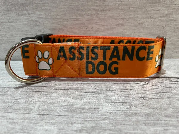 Assistance Dog Collar - Handmade in the UK