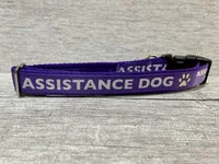 Assistance Dog Collar - Handmade in the UK 6