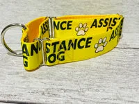 Assistance Dog Collar - Handmade in the UK 14