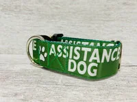 Assistance Dog Collar - Handmade in the UK 10