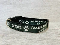 Assistance Dog Collar - Handmade in the UK 7