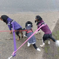 Multiple Dog Walking Lead - Adjustable for Each Dog 13