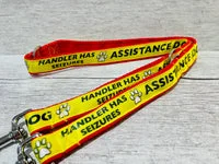 Handler has Seizures - Assistance Alert Dog Lead 2