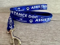 In Training - Assistance Dog Alert Dog Lead 10