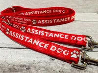 In Training - Assistance Dog Alert Dog Lead 8