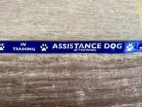 In Training - Assistance Dog Alert Dog Lead 13