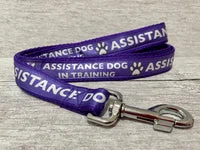In Training - Assistance Dog Alert Dog Lead 2