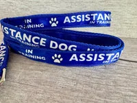 In Training - Assistance Dog Alert Dog Lead 11