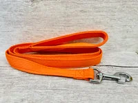 Plain Standard Dog Lead - Alert 5