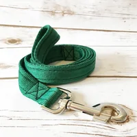 Plain Standard Dog Lead - Alert 2