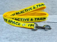 Custom Print Personalised Dog Lead 8